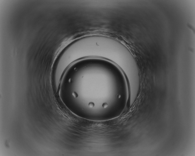 X0000097870152200803281209