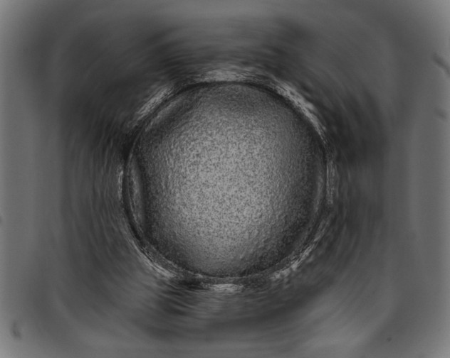 X0000097870153200803281209