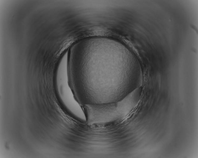 X0000097870154200803281209