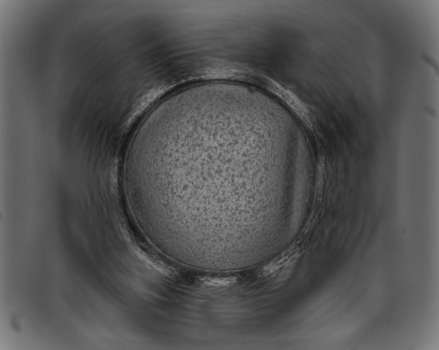 X0000097870155200803281209