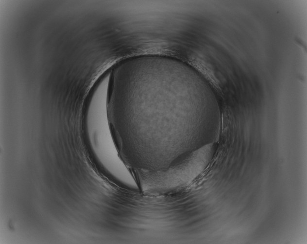 X0000097870156200803281209