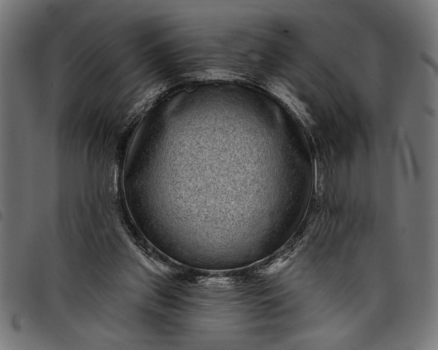 X0000097870157200803281209