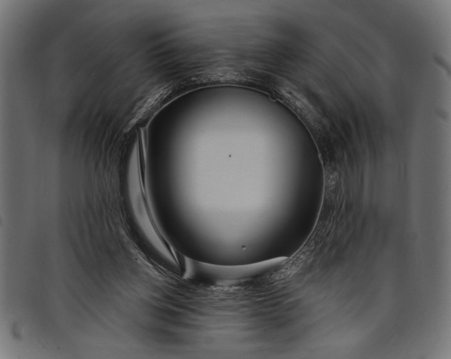 X0000097870158200803281209