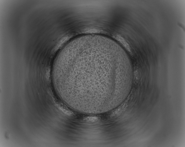 X0000097870159200803281209