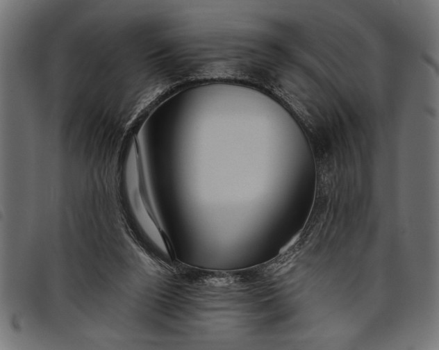 X0000097870160200803281209