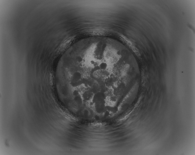 X0000097870161200803281209