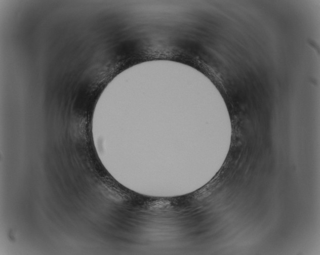 X0000097870162200803281209