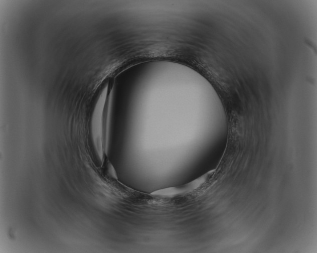 X0000097870164200803281209