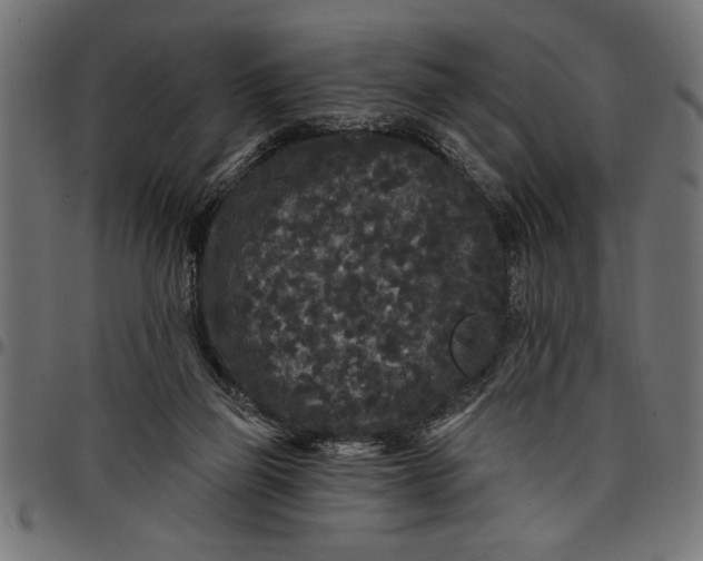 X0000097870165200803281209