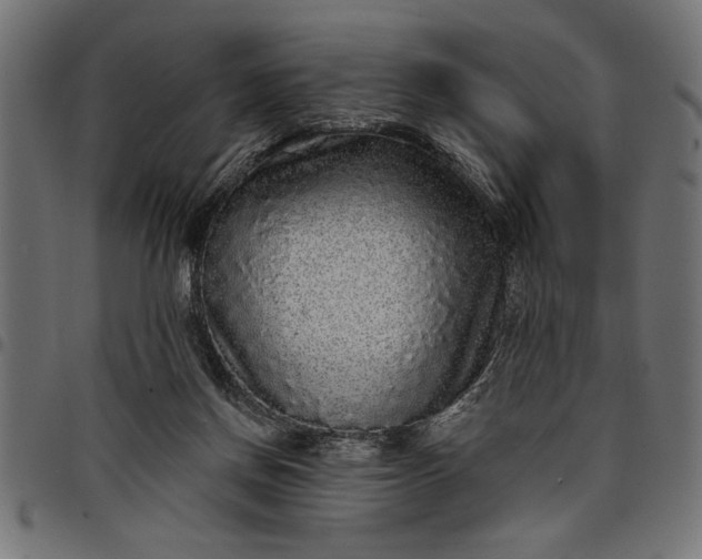 X0000097870166200803281209