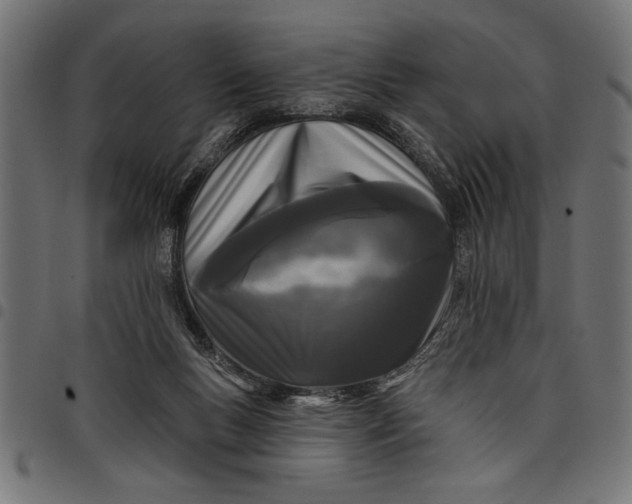 X0000097870167200803281209