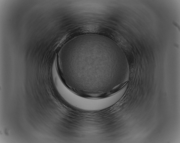 X0000097870168200803281209