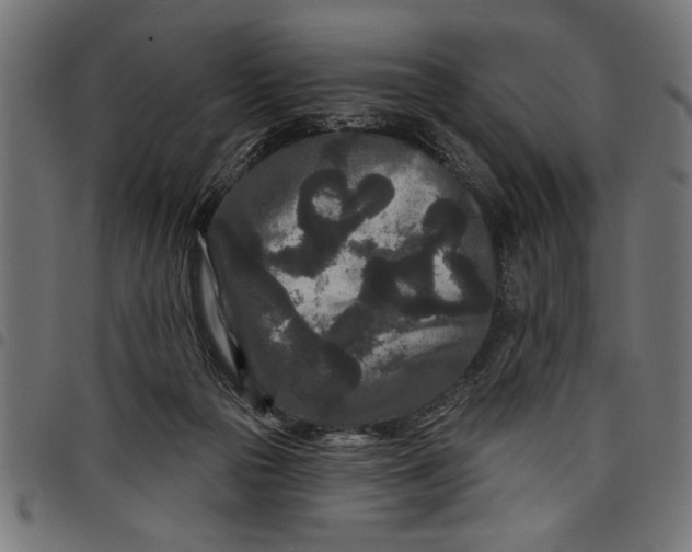 X0000097870169200803281209