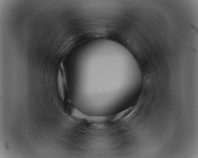 X0000097870170200803281209