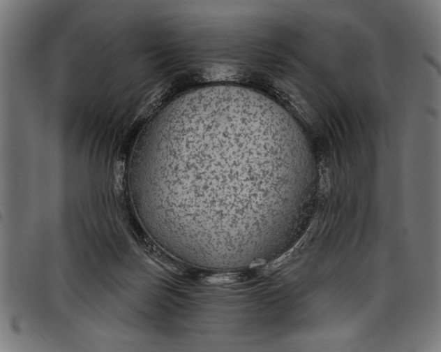 X0000097870171200803281210
