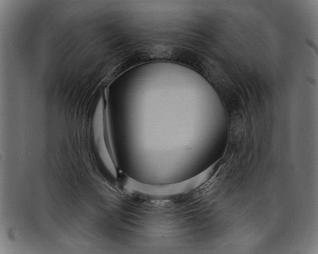 X0000097870172200803281210