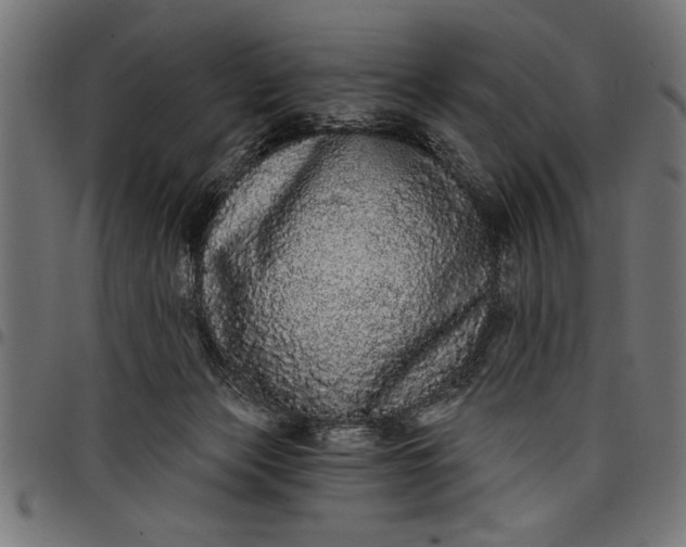 X0000097870173200803281210