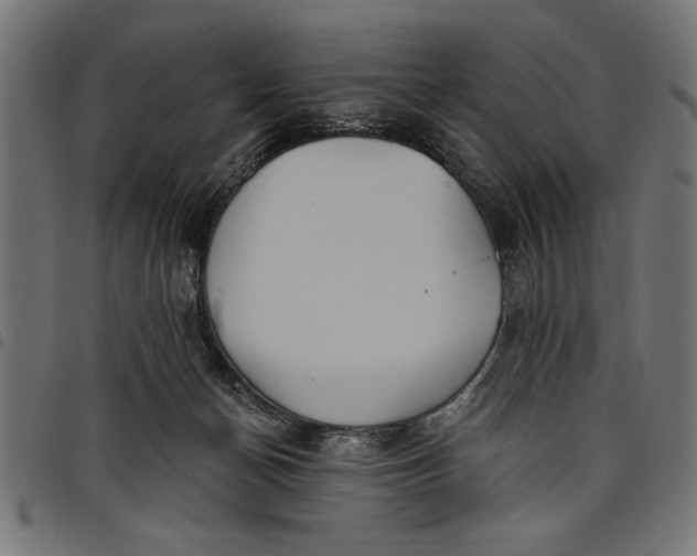X0000097870174200803281210