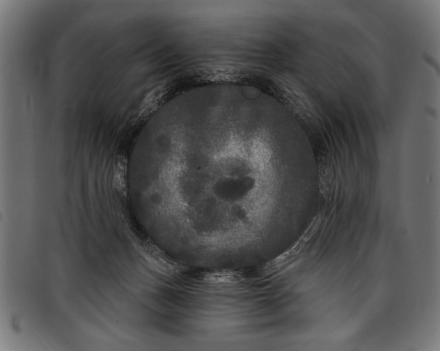 X0000097870175200803281210