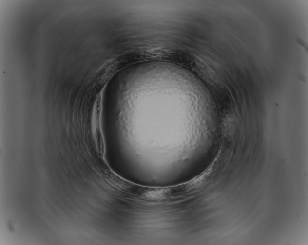 X0000097870178200803281210