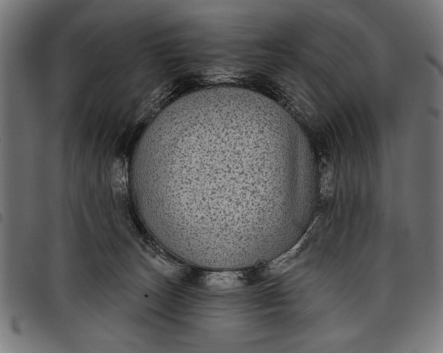 X0000097870179200803281210