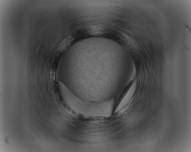 X0000097870180200803281210