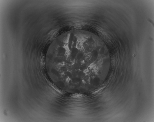 X0000097870181200803281210