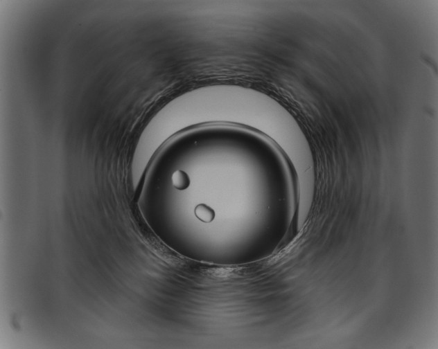 X0000097870184200803281210