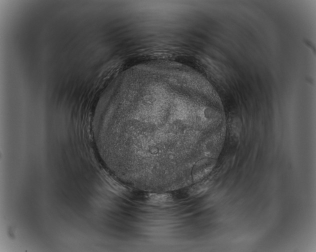 X0000097870185200803281210