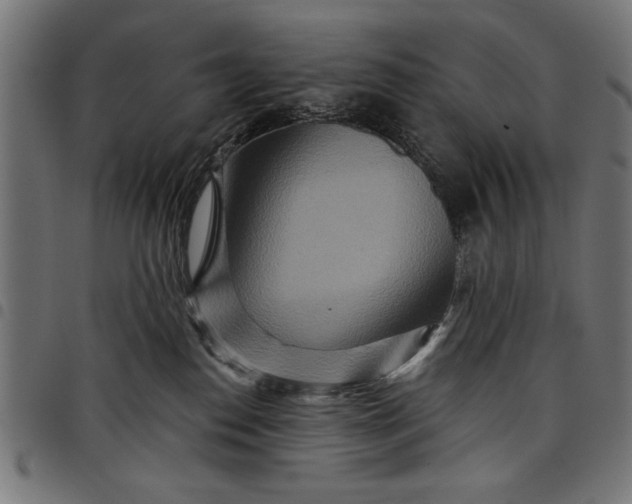 X0000097870186200803281210