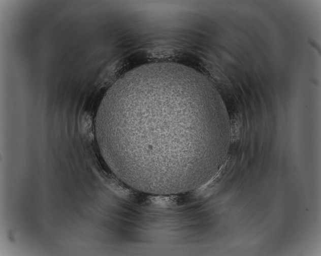 X0000097870187200803281210