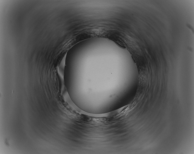 X0000097870188200803281210
