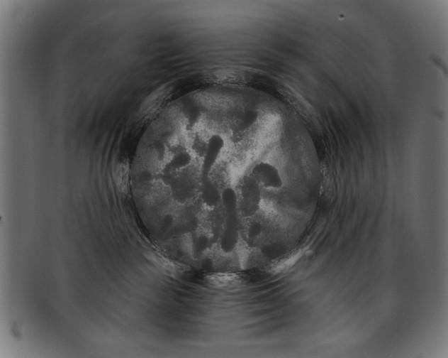 X0000097870189200803281210