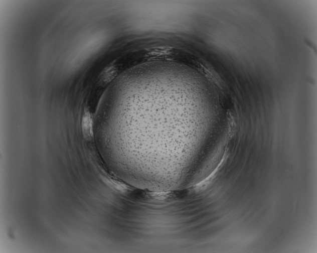 X0000097870191200803281210
