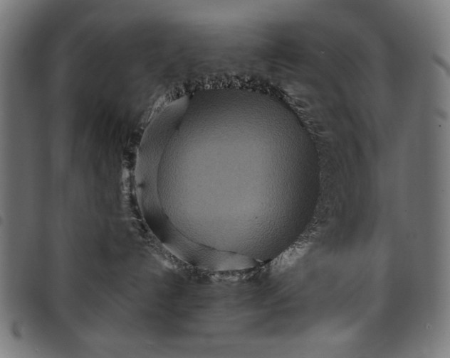 X0000097870192200803281210
