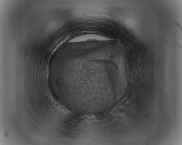 X0000097870194200803281209