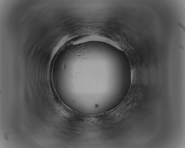 X0000097870195200803281209