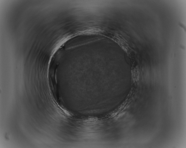 X0000097870196200803281209