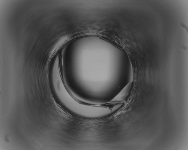 X0000097870197200803281209