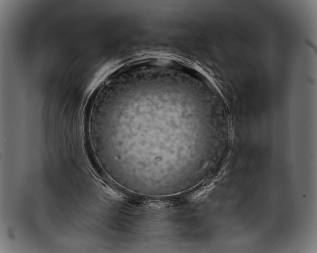 X0000097870199200803281209