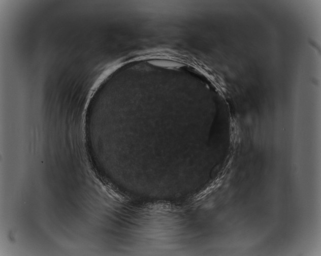 X0000097870200200803281209