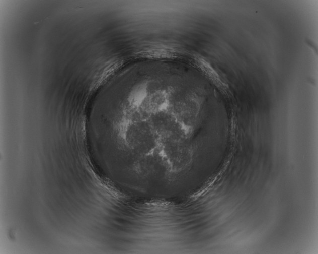 X0000097870202200803281209