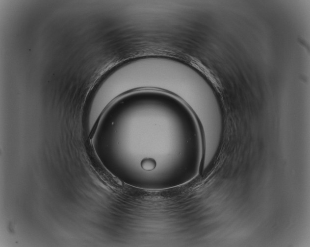 X0000097870203200803281209