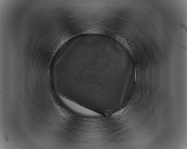 X0000097870204200803281209