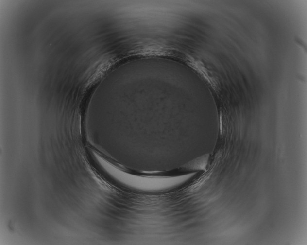 X0000097870205200803281209