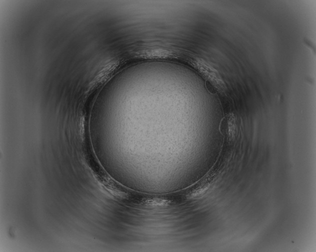 X0000097870206200803281209