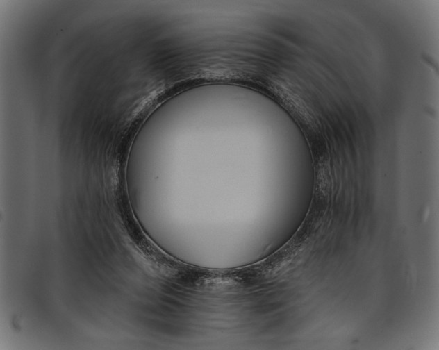 X0000097870208200803281209