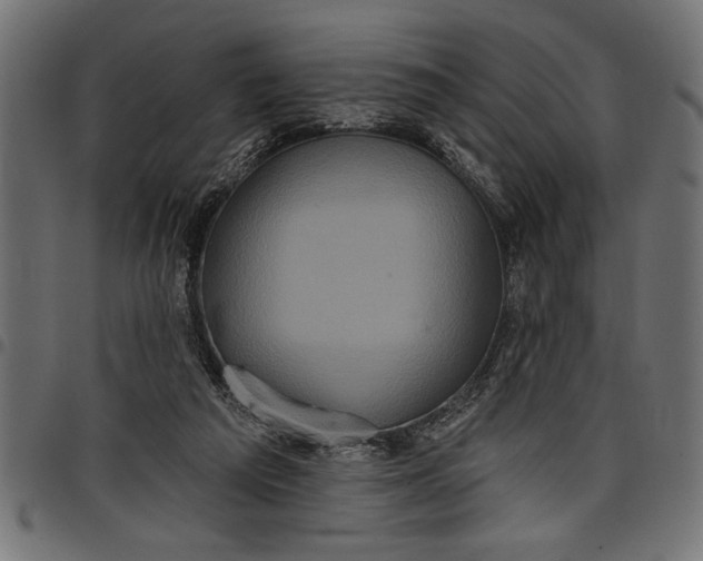 X0000097870209200803281209