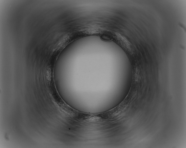X0000097870210200803281209