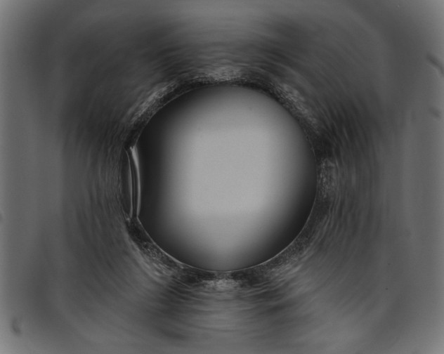 X0000097870212200803281209